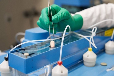 Mỹ cấp phép thuốc trị Covid-19 đường uống của hãng Pfizer