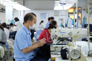 Tỷ lệ rút BHXH một lần có tăng nhưng không bất thường