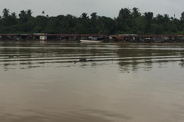 Phát hiện thi thể 2 nam thanh niên trôi trên sông Đồng Nai