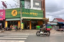 Vụ bán giá đỗ của cơ sở dùng chất cấm: Bách Hóa Xanh nói gì?