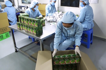 TPHCM: Nhiều cá nhân, công ty giả mạo giấy tờ cấp chứng chỉ hành nghề dược