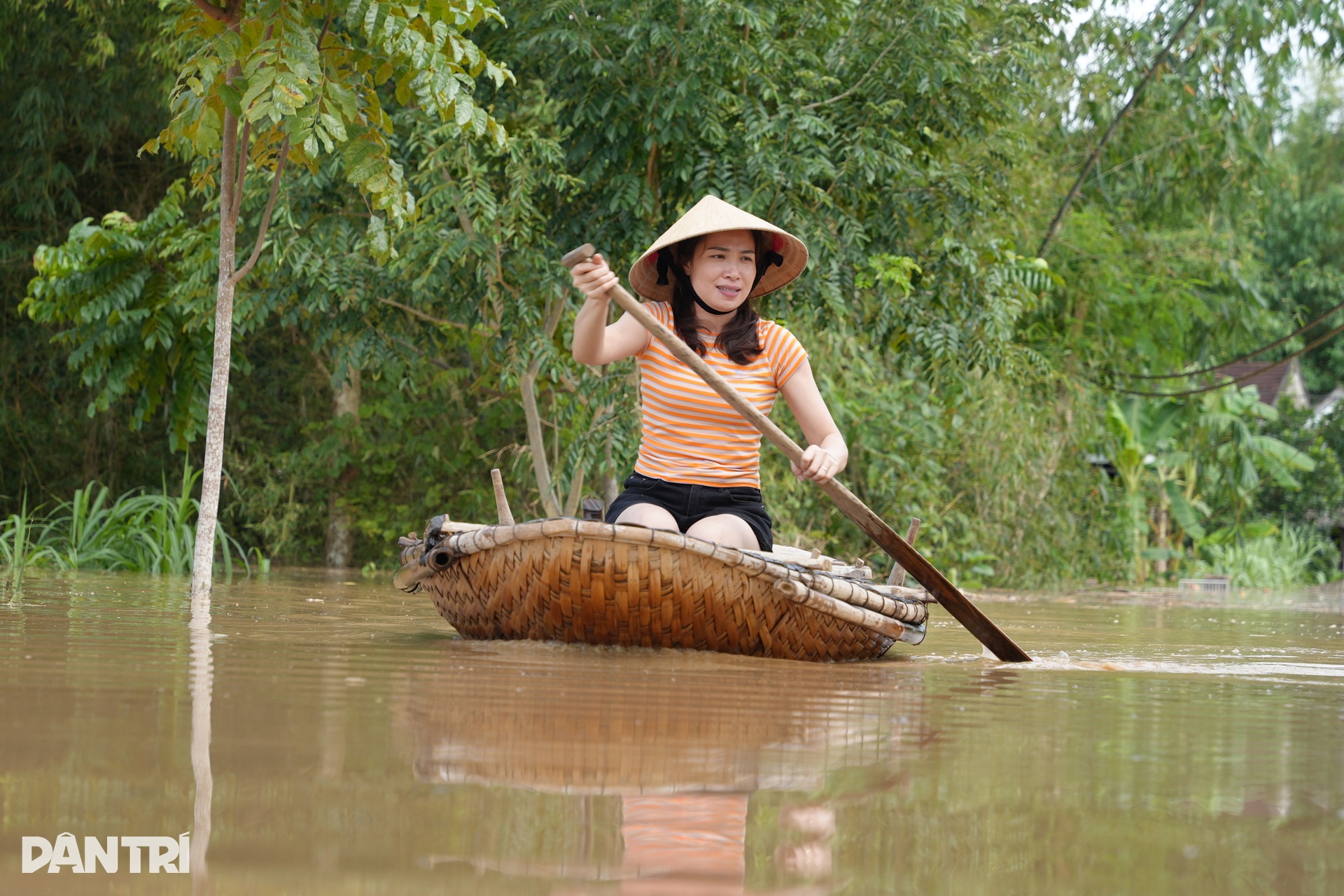 Lũ dâng chưa từng có, người dân lùa gia súc lên quốc lộ sơ tán - 1 Lũ dâng chưa từng có, người dân lùa gia súc lên quốc lộ sơ tán - 1