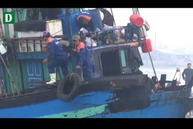 15 ngư dân trên tàu cá bị nạn được cứu sống