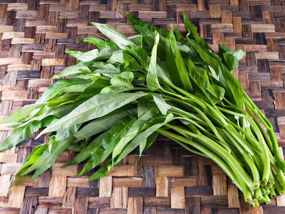 Những công dụng tuyệt vời của rau muống có thể bạn chưa biết - 1 Những công dụng tuyệt vời của rau muống có thể bạn chưa biết - 1