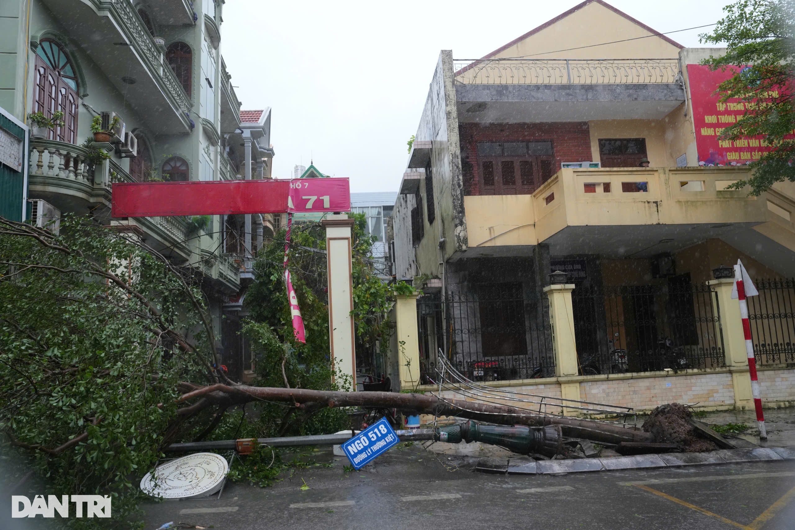 Bão Yagi đổ bộ Quảng Ninh: Đường phố ngổn ngang, hàng loạt cột điện gãy đổ - 12