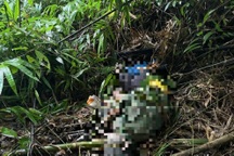 Người đàn ông chết trong rừng ở Lâm Đồng, bên cạnh có dấu vết nghi của voi