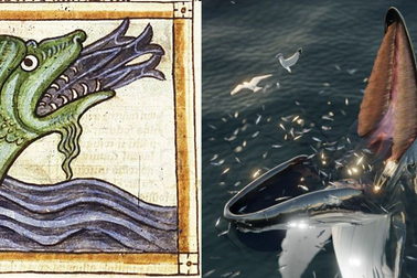 "Giải mã" quái vật biển đe dọa người Bắc Âu thời trung cổ