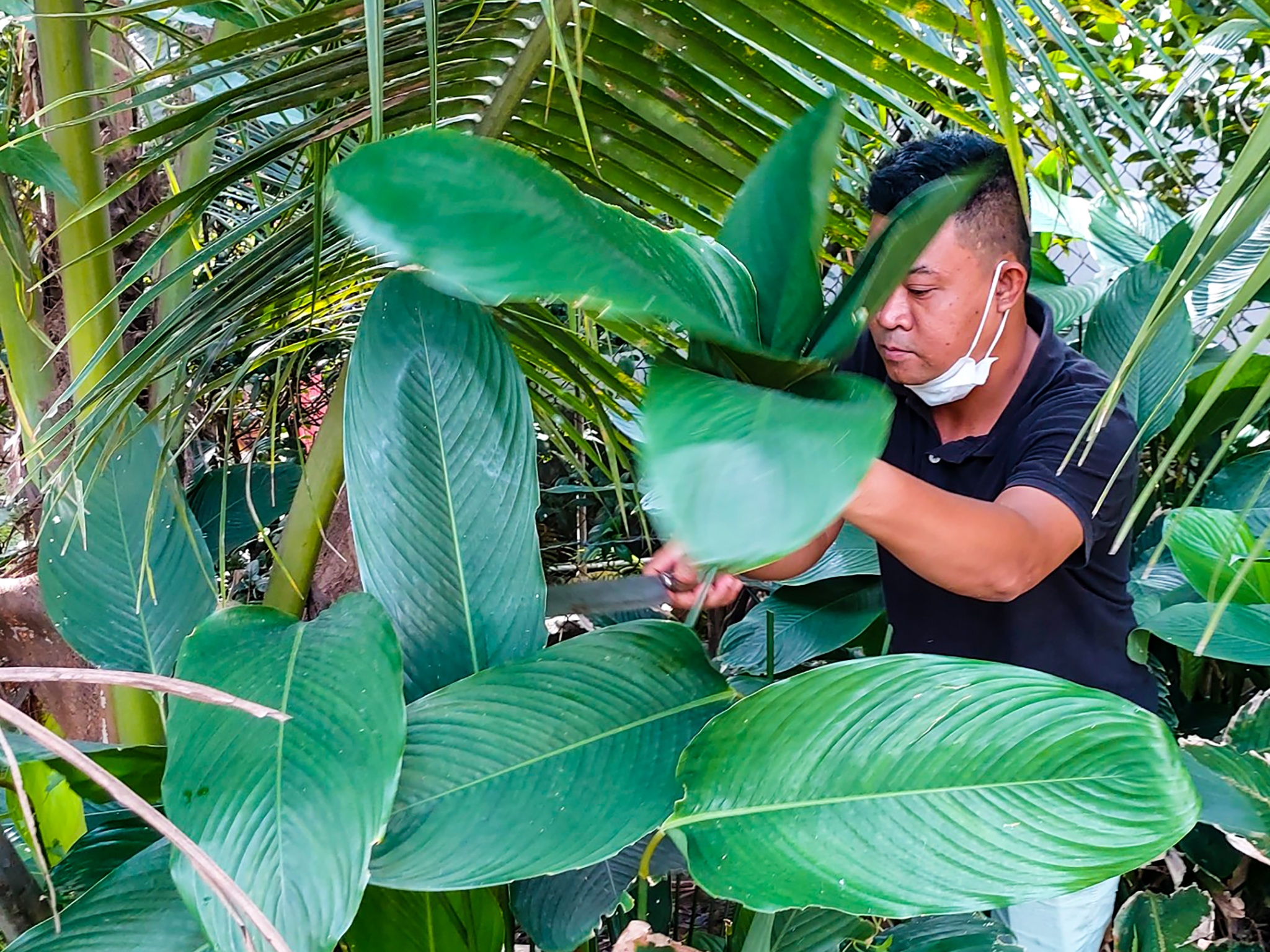 Trắng đêm gói bánh gửi đồng bào miền Trung ruột thịt - 1 Trắng đêm gói bánh gửi đồng bào miền Trung ruột thịt - 1