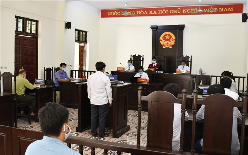 Vào rừng chặt cây thông làm áo quan, 3 anh em ruột bị phạt tù - 1 Vào rừng chặt cây thông làm áo quan, 3 anh em ruột bị phạt tù - 1