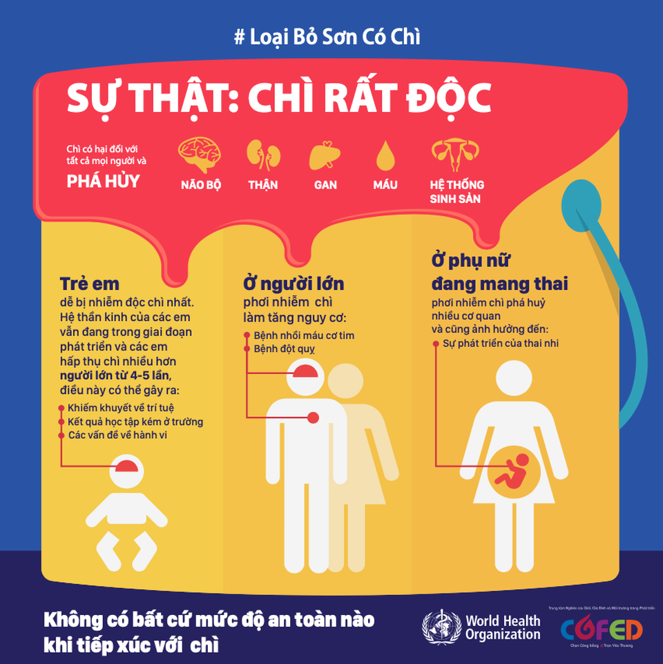 Nhiễm độc chì: Nguy cơ tiềm ẩn ngay tại nhà nhiều người không hay - 2 Nhiễm độc chì: Nguy cơ tiềm ẩn ngay tại nhà nhiều người không hay - 2
