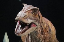 Khủng long bạo chúa cũng ăn thịt đồng loại