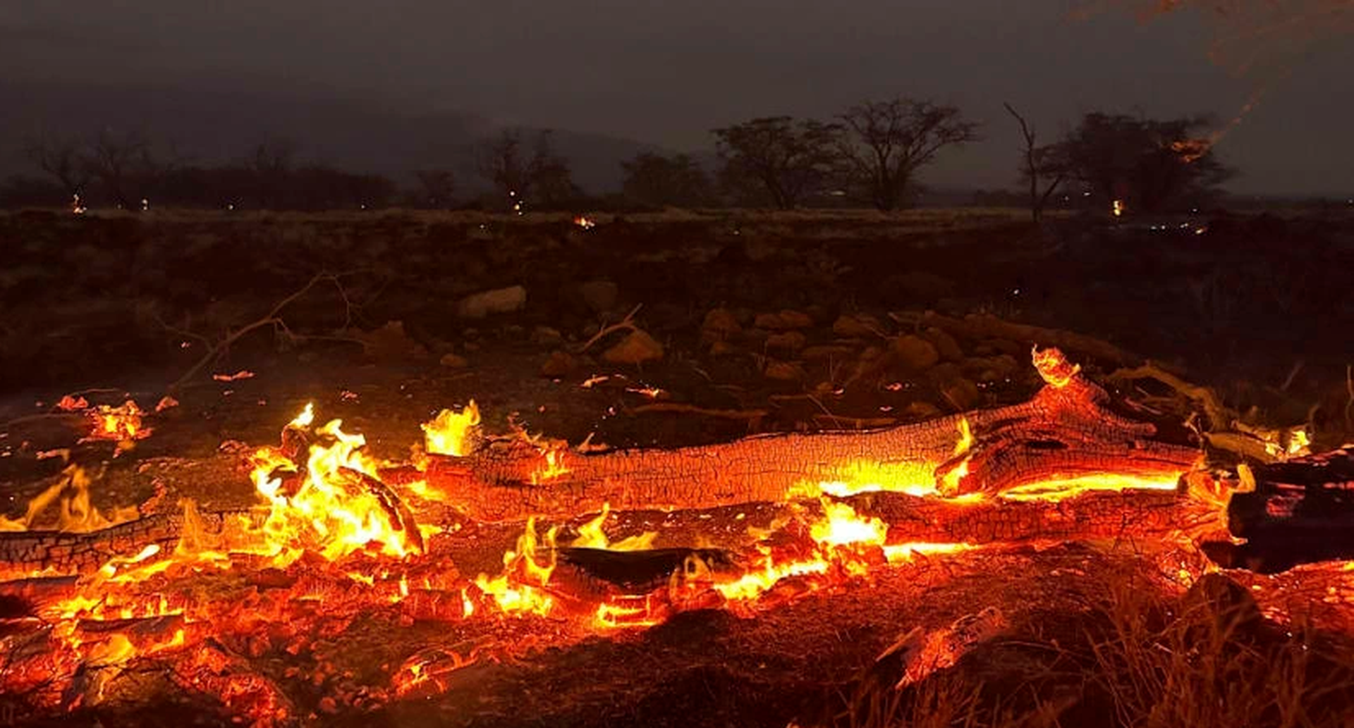 Cháy rừng ở Hawaii: Cảnh đổ nát như bãi chiến trường, 53 người chết - 2