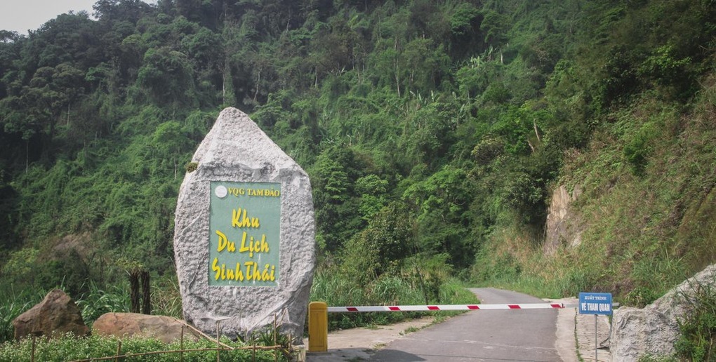Điều tra hành vi xây dựng trái phép, chặt phá cây rừng ở Tam Đảo - 1 Điều tra hành vi xây dựng trái phép, chặt phá cây rừng ở Tam Đảo - 1