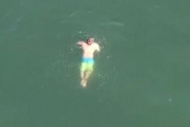 Nhảy xuống biển để chạy trốn cảnh sát thì... gặp cá mập