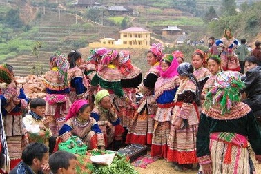 Đẩy mạnh xuất khẩu lao động ở 61 huyện nghèo