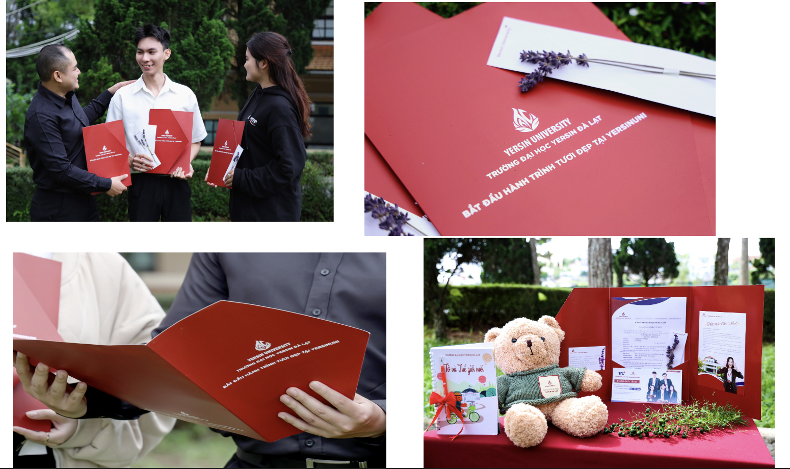 Noví studenti se chlubí svým krásným oznámením o přijetí na univerzitu v roce 2024 - 3 Tân sinh viên khoe giấy báo trúng tuyển đại học năm 2024 đẹp lung linh - 3
