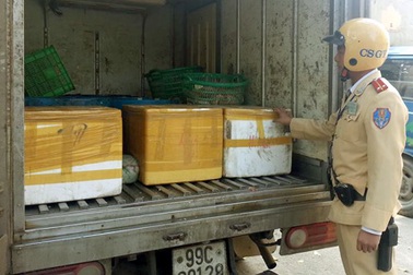 Hà Nội: CSGT bắt giữ xe tải chở gần 1 tấn lòng thối