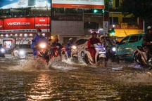 Mưa kèm sấm sét khiến cây xanh bật gốc, đường phố Đà Nẵng ngập úng