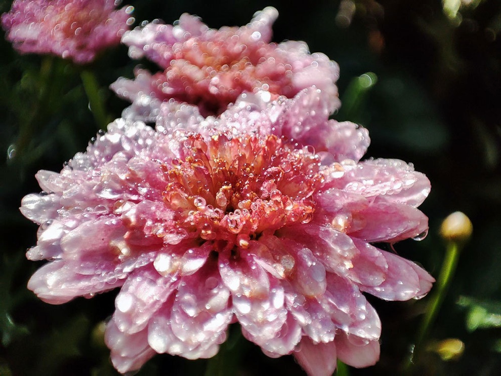 Chồng buông lời ngọt ngào với các cô gái trên mạng - 1 Chồng buông lời ngọt ngào với các cô gái trên mạng - 1