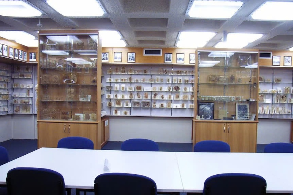 Bí mật lấy bộ phận cơ thể người để tặng cho bảo tàng gây rúng động - 2 Bí mật lấy bộ phận cơ thể người để tặng cho bảo tàng gây rúng động - 2