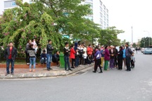 Vụ 4 trẻ sinh non tử vong: Sẽ khởi tố nếu có dấu hiệu vi phạm