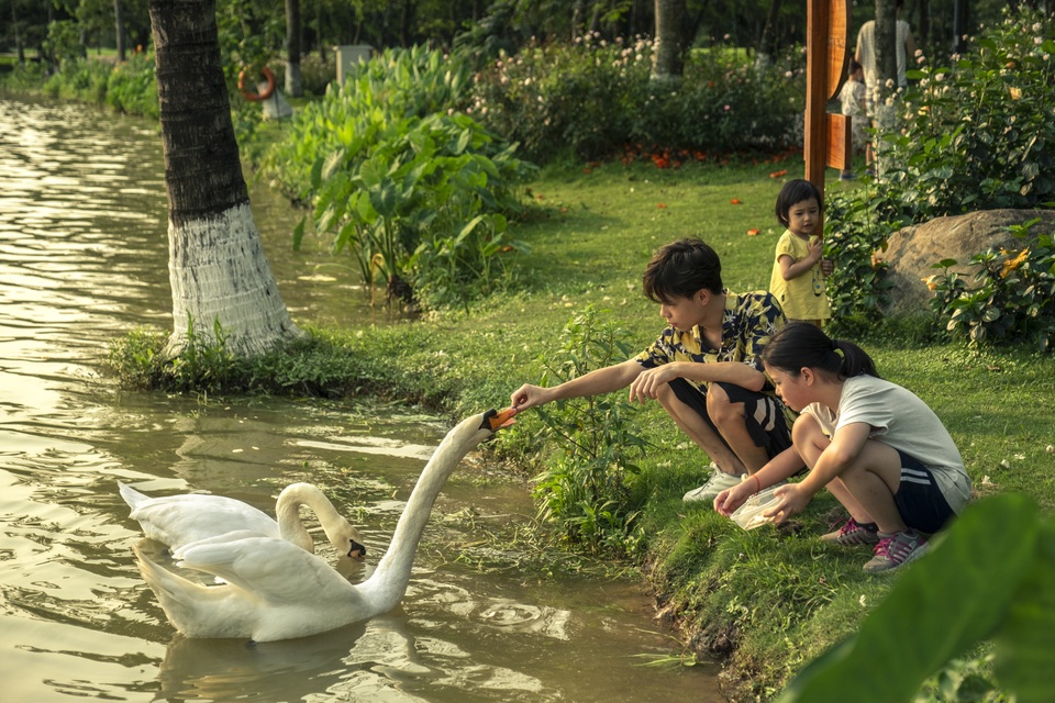 Check-in cánh đồng cỏ tranh đẹp nên thơ ngay phía Đông Hà Nội - 11 Check-in cánh đồng cỏ tranh đẹp nên thơ ngay phía Đông Hà Nội - 11