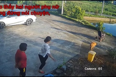 Bà bất cẩn khiến xe đẩy của cháu lăn xuống hồ nước