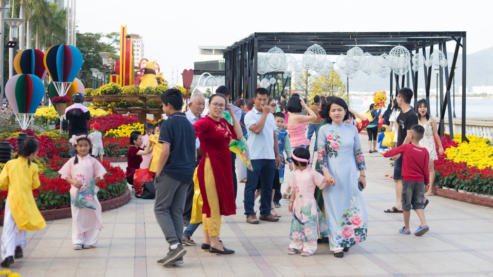 Rộn ràng du xuân sớm ở đường hoa Tết Đà Nẵng - 8 Rộn ràng du xuân sớm ở đường hoa Tết Đà Nẵng - 8