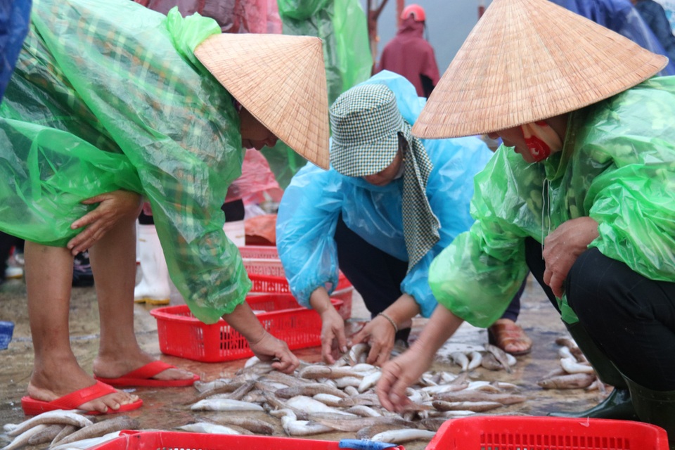 Hối hả nơi cảng Cửa Sót tháng cuối năm - 3 Hối hả nơi cảng Cửa Sót tháng cuối năm - 3
