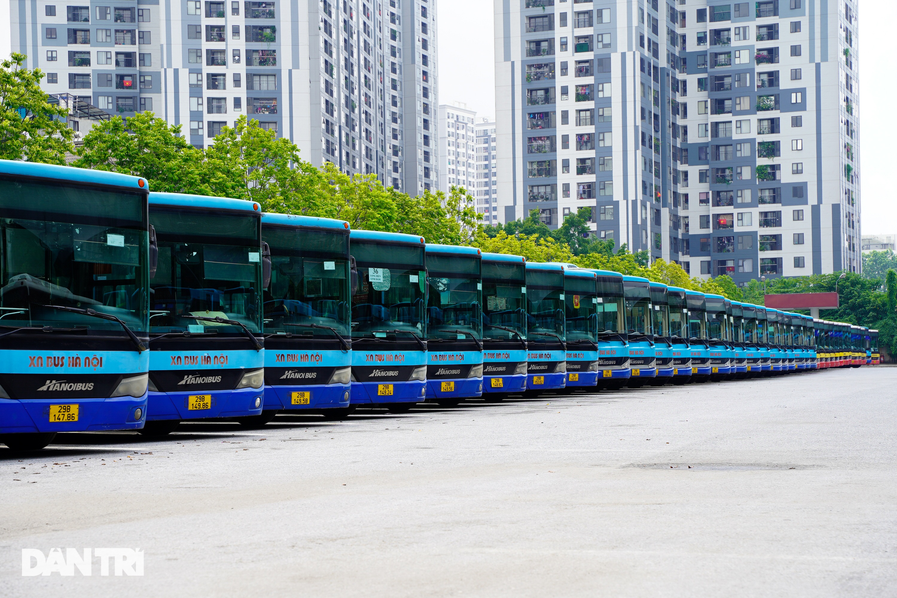 Hà Nội: Hàng nghìn ôtô nằm phơi nắng dầm mưa vì giãn cách xã hội - 4 Hà Nội: Hàng nghìn ôtô nằm phơi nắng dầm mưa vì giãn cách xã hội - 4
