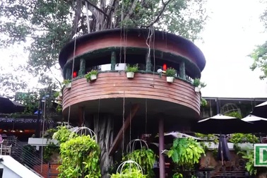 Độc đáo quán cà phê cheo leo trên cây ở Sài Gòn