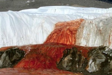 Bí mật ẩn chứa của “dòng thác máu” suốt hơn một thế kỷ