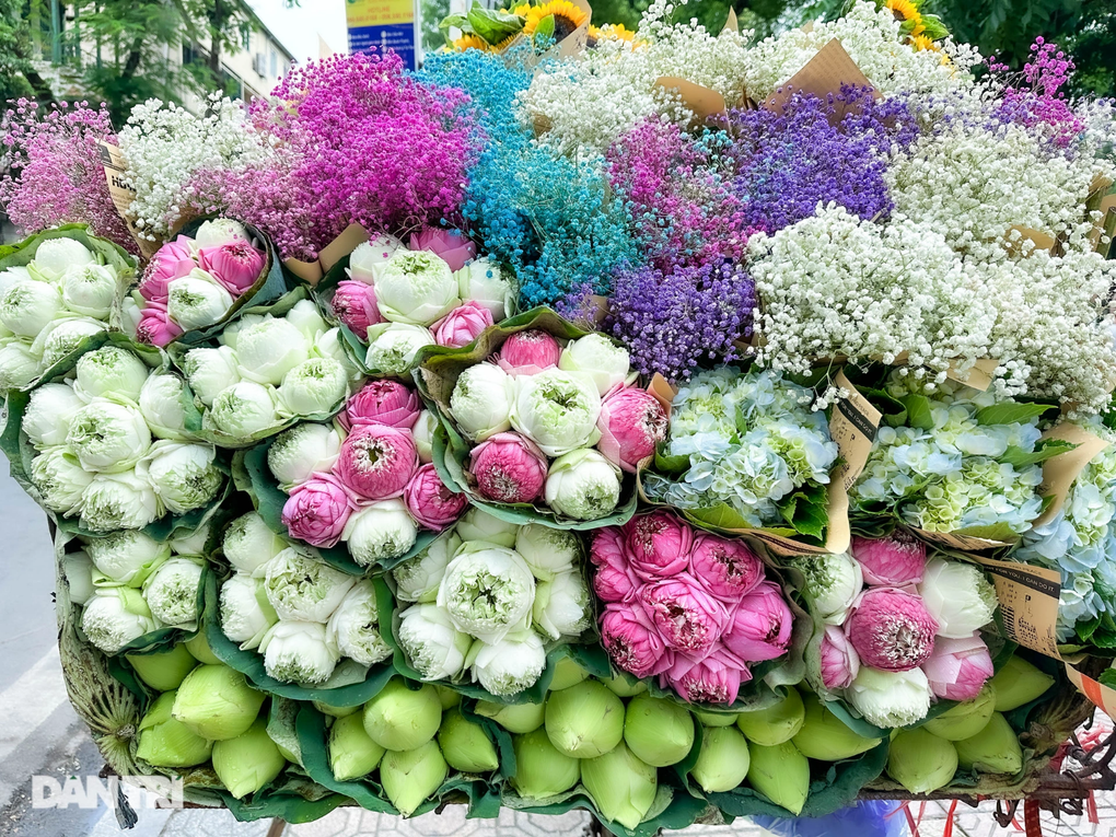 Báo Nhật nói gì về con phố sống ảo ở Hà Nội cứ một m2 lại có 10 nàng thơ? - 2 Báo Nhật nói gì về con phố sống ảo ở Hà Nội cứ một m2 lại có 10 nàng thơ? - 2
