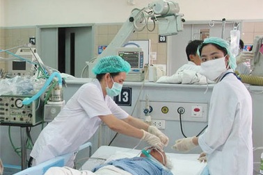 Sốc phản vệ vì ăn... rươi