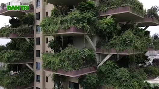 Bị muỗi tấn công hàng ngàn người rời bỏ “chung cư xanh” ở Trung Quốc