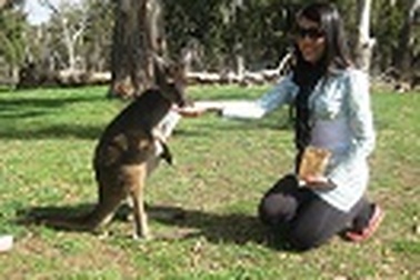 Thời điểm vàng Du học Úc - Học viện MIT - Mức xét duyệt 1