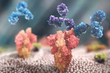 Chuyên gia: Đừng ngộ nhận kháng thể đơn dòng là "siêu vaccine" Covid-19