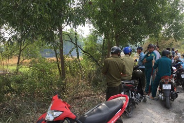 Hàng chục cảnh sát bao vây bãi cỏ lau truy bắt cướp