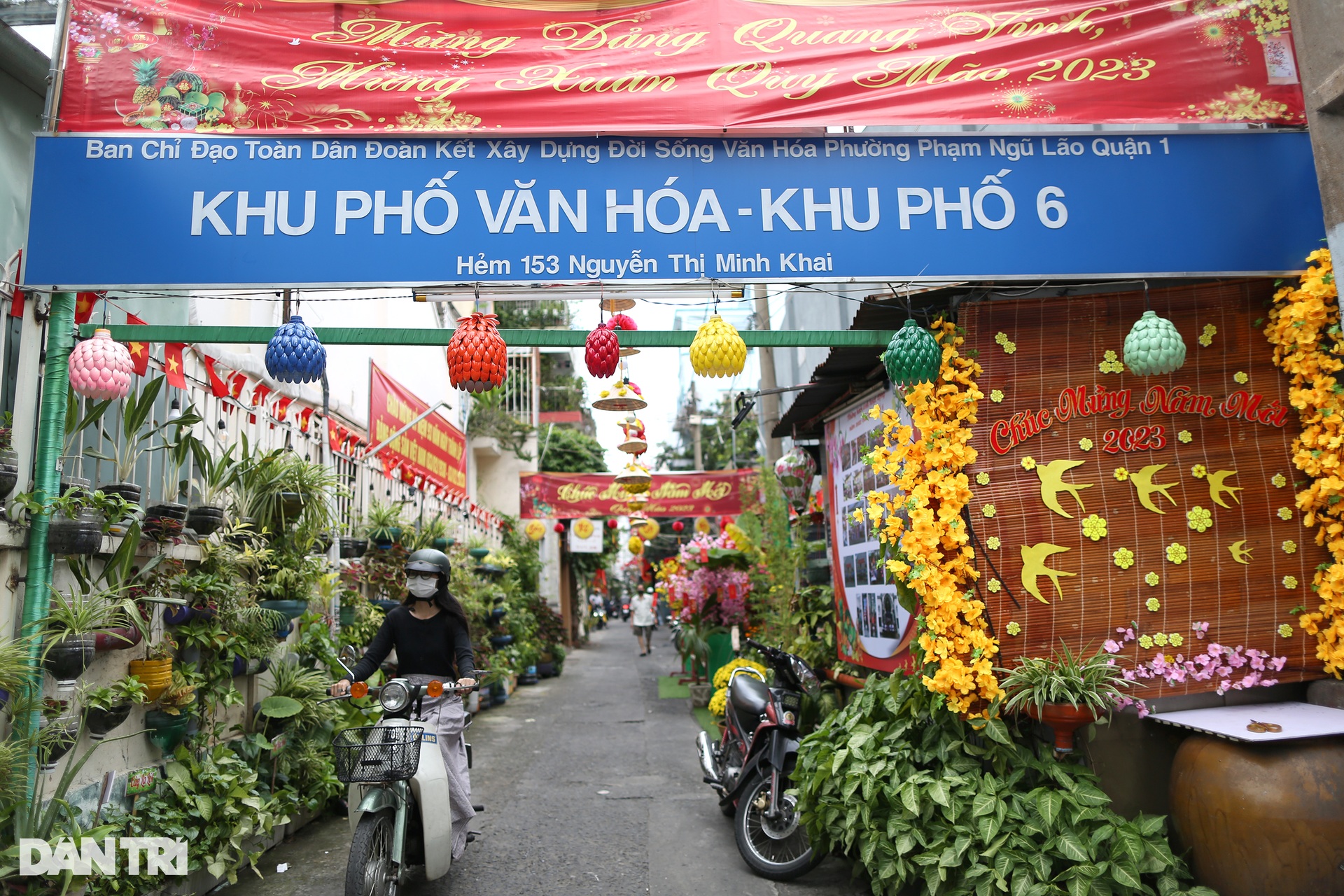 Sắc xuân ngập tràn đường phố TPHCM những ngày giáp Tết - 5 Sắc xuân ngập tràn đường phố TPHCM những ngày giáp Tết - 5