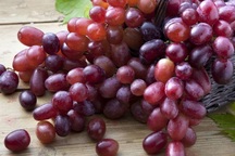 Những công dụng vàng của quả nho với sức khỏe