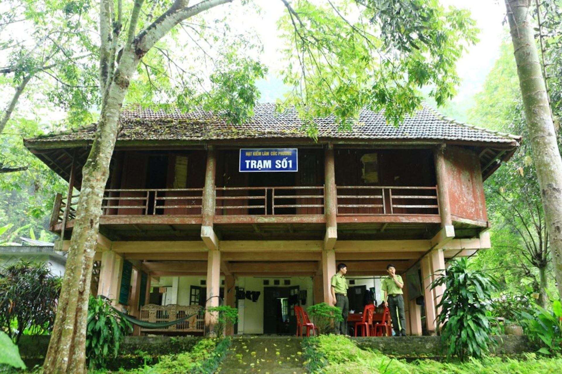 Những người sống 3 không để giữ rừng - 7 Những người sống 3 không để giữ rừng - 7
