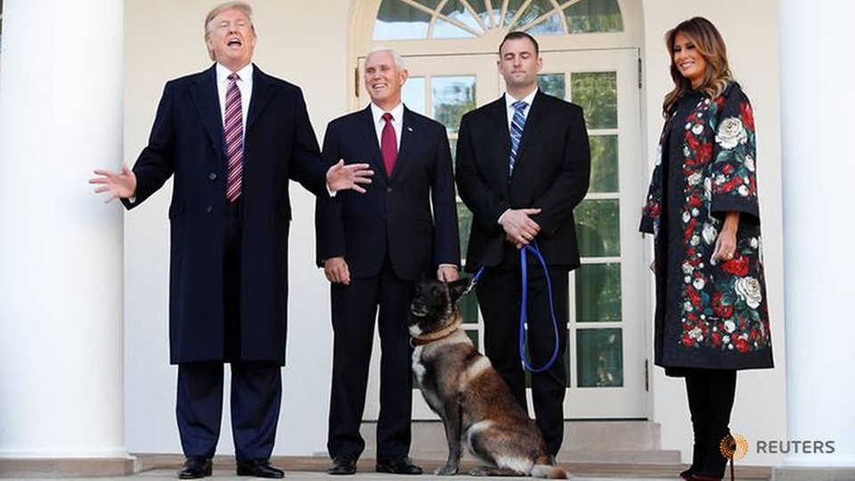 Ông Trump tiếp “đặc vụ 4 chân” trong chiến dịch tiêu diệt thủ lĩnh IS - 1 Ông Trump tiếp “đặc vụ 4 chân” trong chiến dịch tiêu diệt thủ lĩnh IS - 1