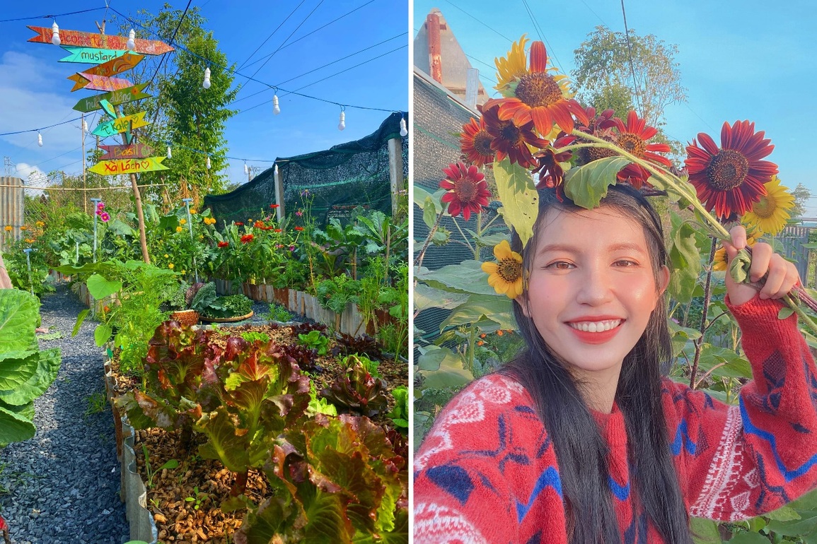Vườn đẹp như tranh, trồng hàng trăm giống rau trái của mẹ đảm ở Củ Chi - 2 Vườn đẹp như tranh, trồng hàng trăm giống rau trái của mẹ đảm ở Củ Chi - 2