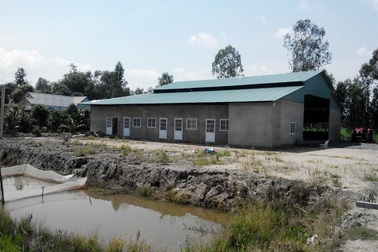 Vụ “xúi” dân phá lúa trồng sen, nuôi tôm hùm đỏ: Trả đất cho dân