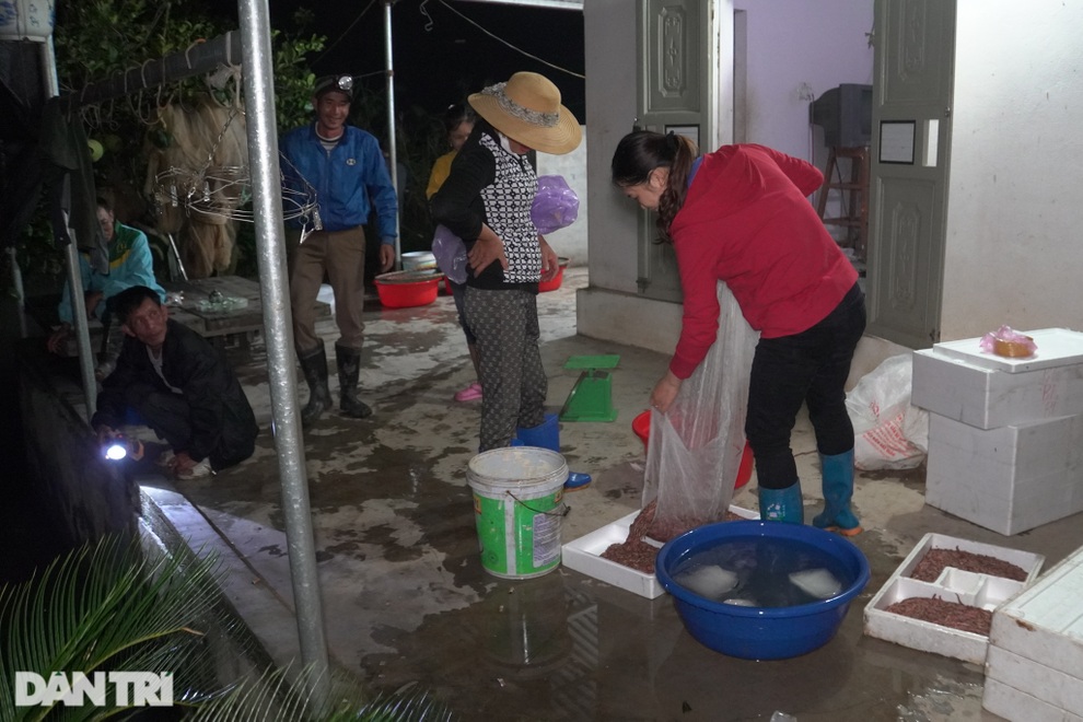 Tiêu thụ ảnh hưởng Covid-19, rươi Hải Dương mở rộng xuất khẩu đi Trung Quốc - 5 Tiêu thụ ảnh hưởng Covid-19, rươi Hải Dương mở rộng xuất khẩu đi Trung Quốc - 5