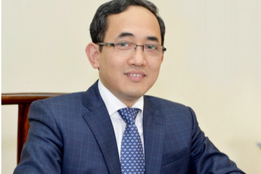 Công ty của tỷ phú Hồ Xuân Năng muốn mua lại cổ phiếu, giảm vốn điều lệ