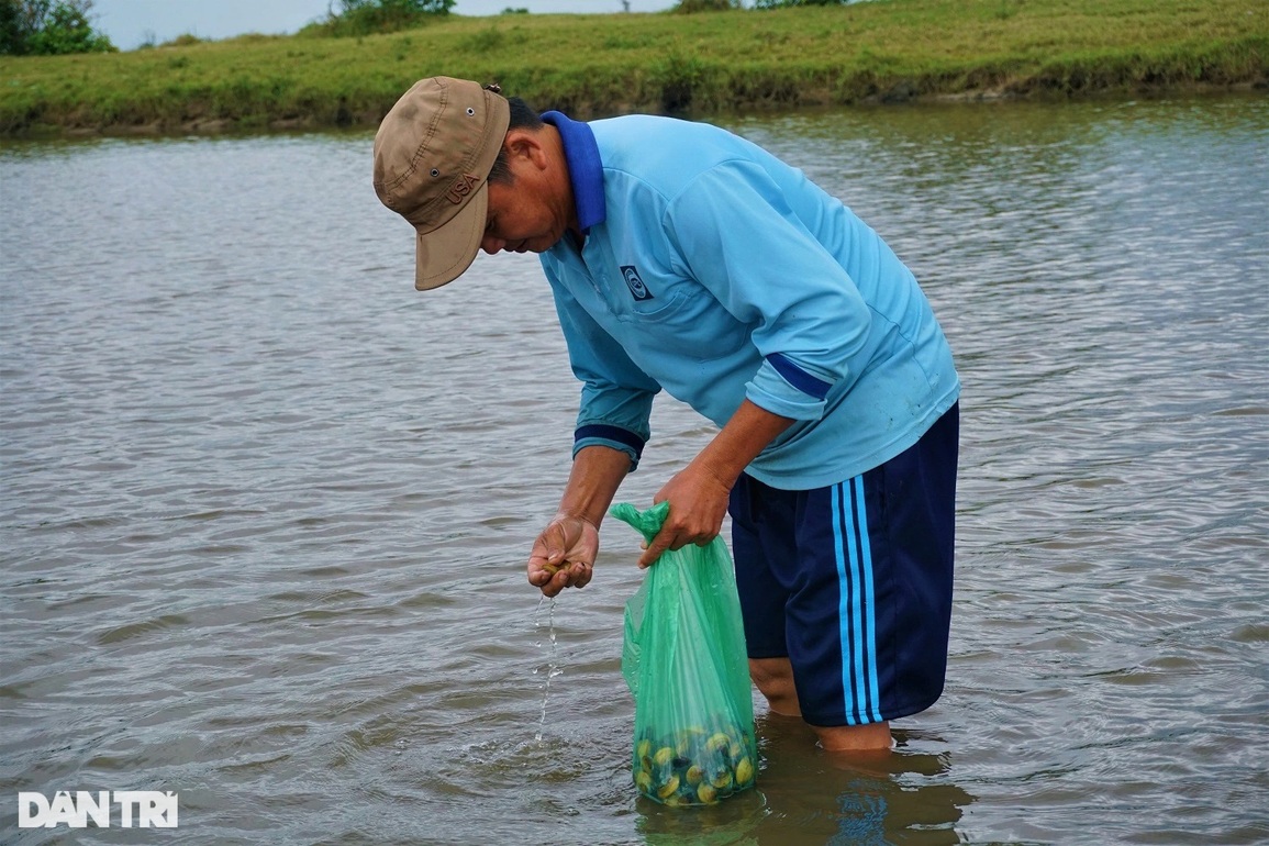 Mò vàng đen trên sông Trường Giang - 8 Mò vàng đen trên sông Trường Giang - 8