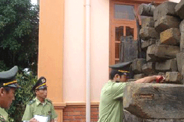 Nhận hối lộ, phó hạt trưởnǵ kiểm lâm bị khởi tố