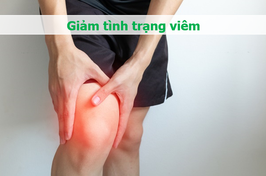 Phần hay bỏ đi khi ăn thịt gà lại đặc biệt tốt cho xương khớp, tim mạch - 6 Phần hay bỏ đi khi ăn thịt gà lại đặc biệt tốt cho xương khớp, tim mạch - 6