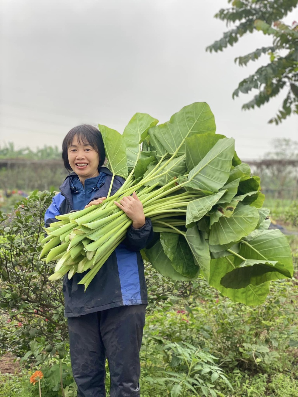 Vợ chồng tiến sỹ về quê làm nông dân, bán 5 tấn nông sản/tháng - 12